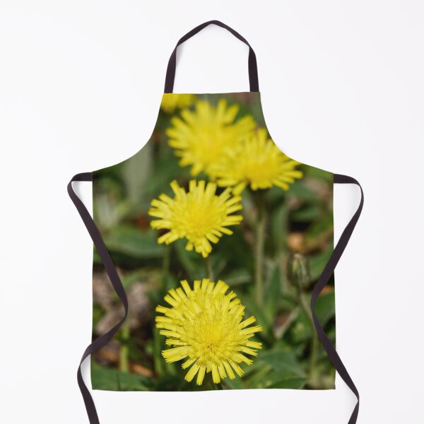 Item preview, Line up. Mouse-ear Hawkweeds designed and sold by Jouko Lehto Photography.