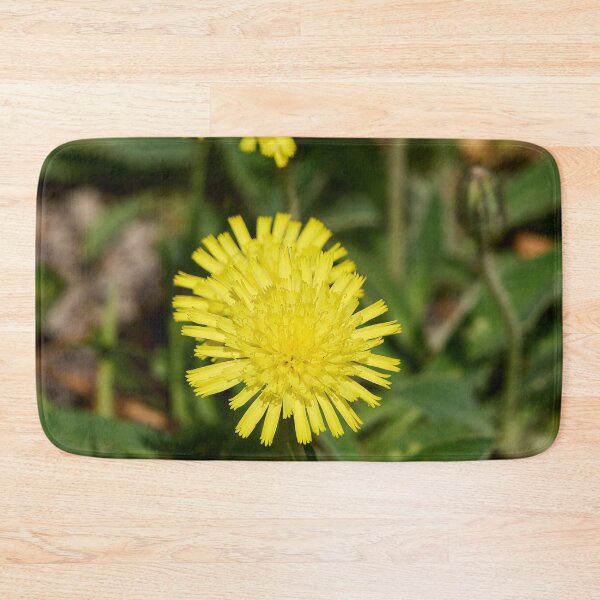 Item preview, Line up. Mouse-ear Hawkweeds designed and sold by Jouko Lehto Photography.