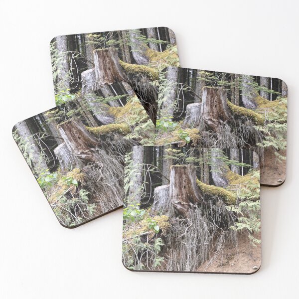 Item preview, weathered treestump and exposed roots designed and sold by marcthatspot.