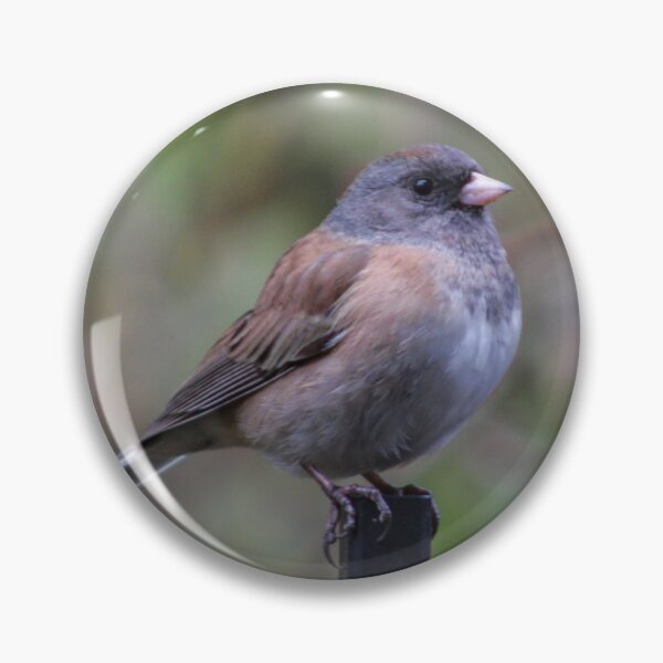 Item preview, Dark Eyed (pink sided) Junco designed and sold by BydandBay.
