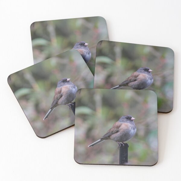 Item preview, Dark Eyed (pink sided) Junco designed and sold by BydandBay.