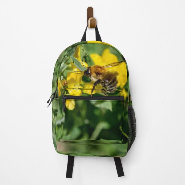 Item preview, Keeping busy. Brown-banded carder bee designed and sold by Jouko Lehto Photography.
