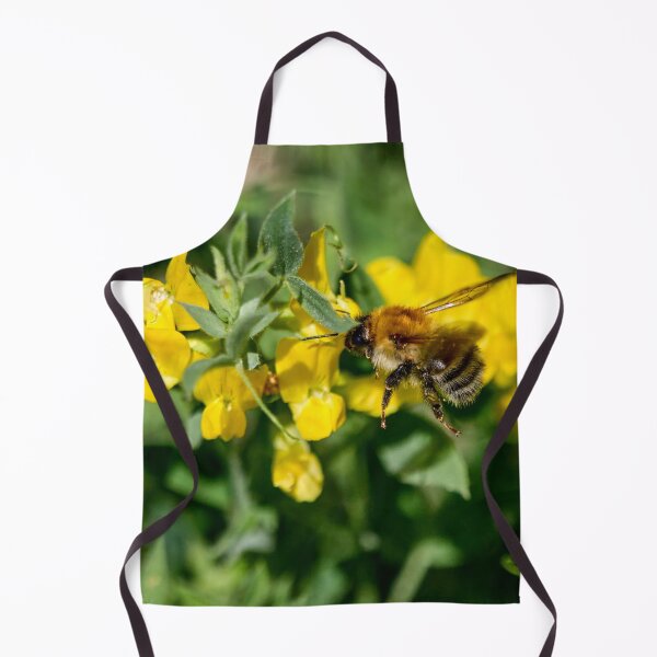 Item preview, Keeping busy. Brown-banded carder bee designed and sold by Jouko Lehto Photography.