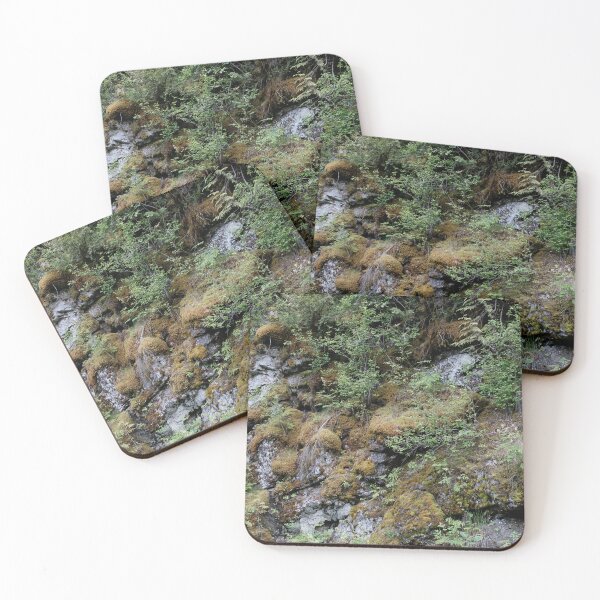 Item preview, Lace like  forest floor of leaves, moss, roots, rocks designed and sold by marcthatspot.