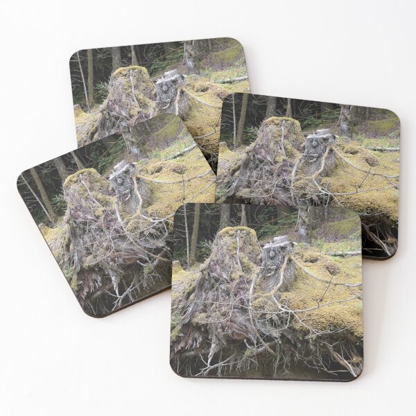 Item preview, forest floor root and moss entanglement designed and sold by marcthatspot.