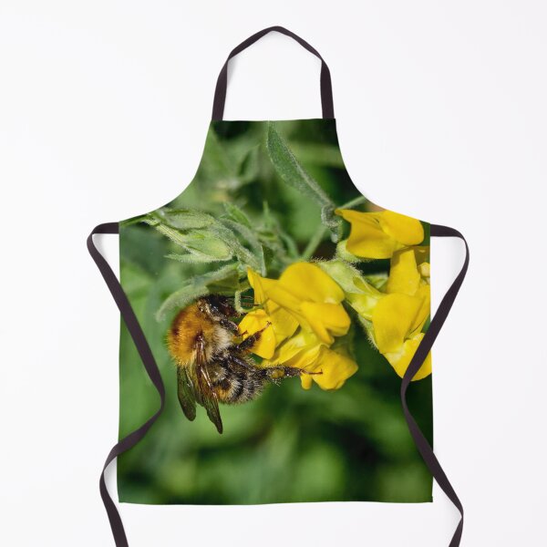 Item preview, Sweettooth. Brown-banded carder bee designed and sold by Jouko Lehto Photography.