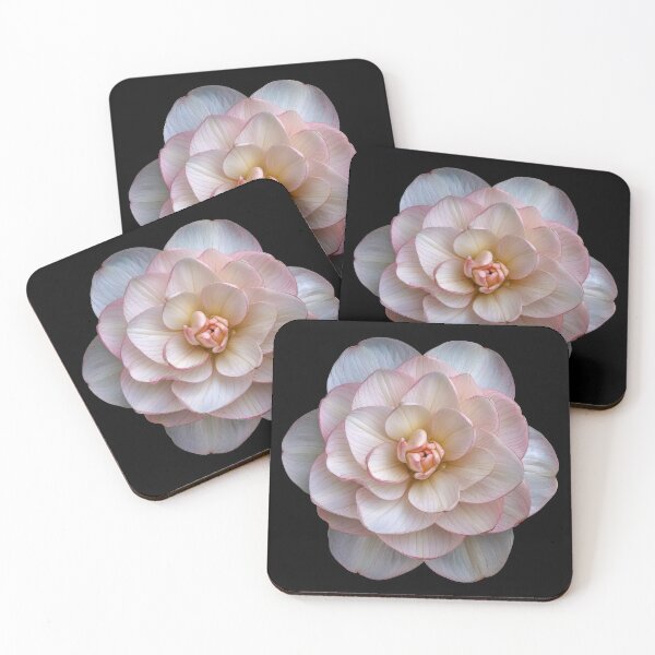 Item preview, Single Flower on Black designed and sold by BilgePaksoylu.