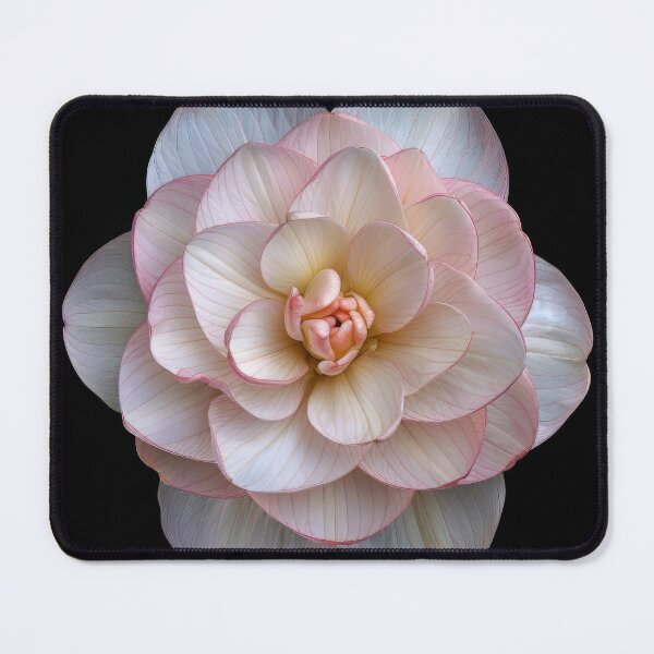 Item preview, Single Flower on Black designed and sold by BilgePaksoylu.