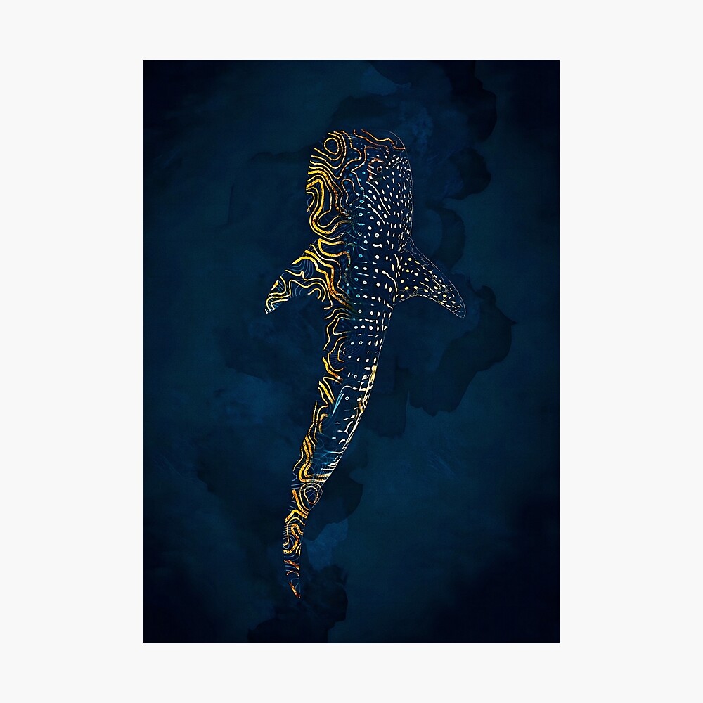 Whale Shark in Gold Poster