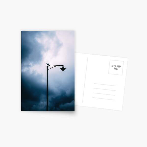 Item preview, Bird on a lamp post designed and sold by Tom Heinola.