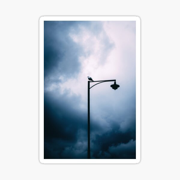 Item preview, Bird on a lamp post designed and sold by Tom Heinola.