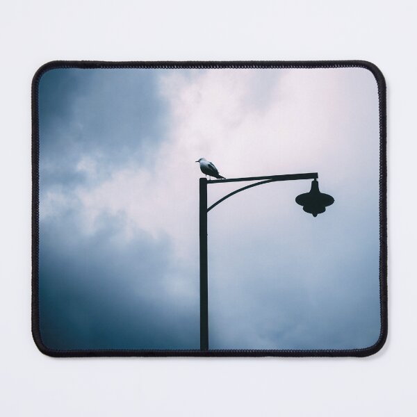 Item preview, Bird on a lamp post designed and sold by Tom Heinola.