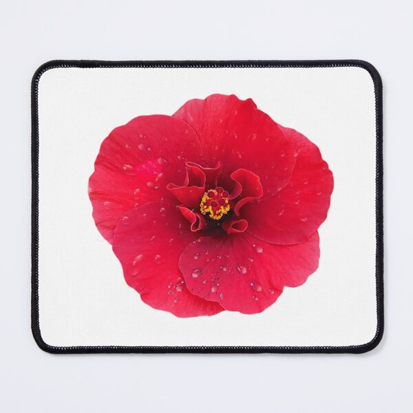 Item preview, Warm red hibiscus designed and sold by Kiraguapa.