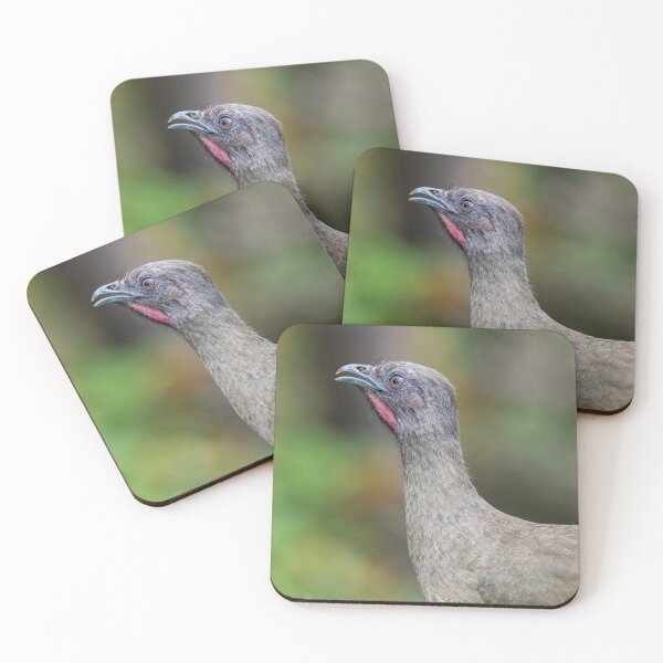 Item preview, Chachalaca Profile Portrait designed and sold by Debra Martz.