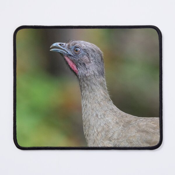 Item preview, Chachalaca Profile Portrait designed and sold by Debra Martz.