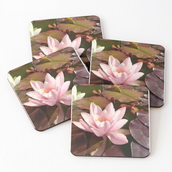 Item preview, Single pink waterlily photograph  designed and sold by esvb.