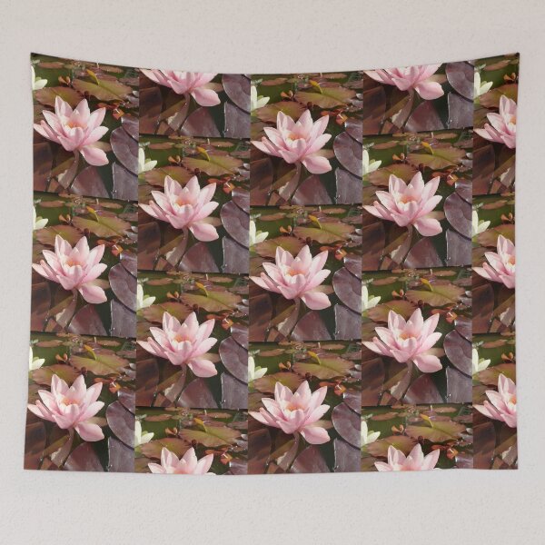 Item preview, Single pink waterlily photograph  designed and sold by esvb.