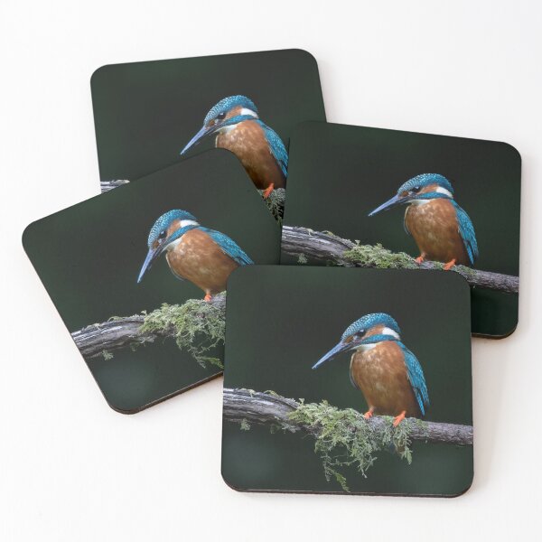 Item preview, A Kingfisher on a perch designed and sold by RedGrouse.