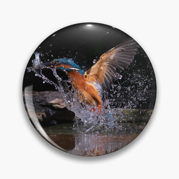Item preview, A Kingfisher emerges from the water with a fish designed and sold by RedGrouse.