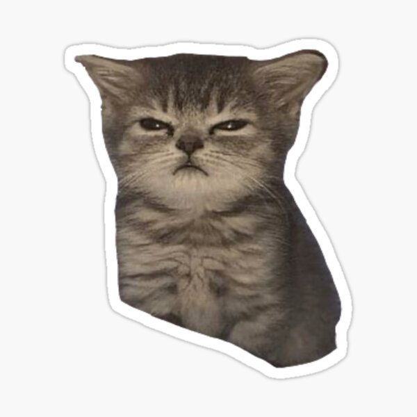 Vista previa del artículo con la obra «meme gato triste enojado enojado », diseñado y vendido por maries-shopz.