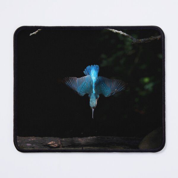 Item preview, Diving Kingfisher designed and sold by RedGrouse.