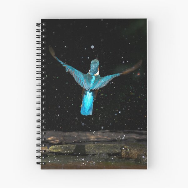 Item preview, Kingfisher rises from the water designed and sold by RedGrouse.