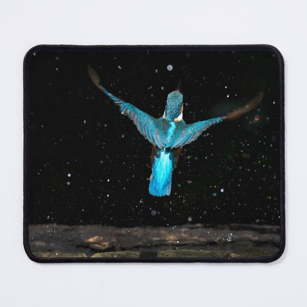 Item preview, Kingfisher rises from the water designed and sold by RedGrouse.