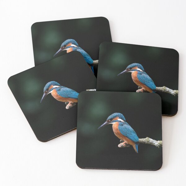Item preview, Kingfisher perched on a branch designed and sold by RedGrouse.