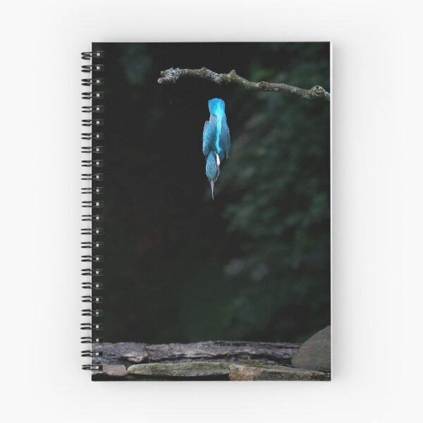 Item preview, Diving Kingfisher designed and sold by RedGrouse.