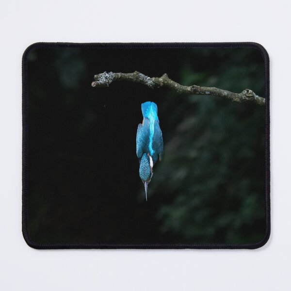 Item preview, Diving Kingfisher designed and sold by RedGrouse.