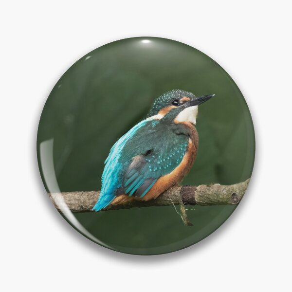 Item preview, Juvenile Kingfisher perched on a branch designed and sold by RedGrouse.