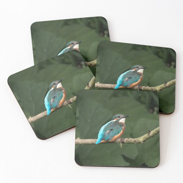 Item preview, Juvenile Kingfisher perched on a branch designed and sold by RedGrouse.