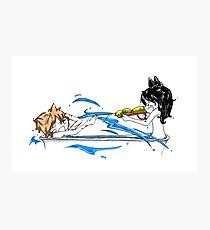 Water Fight Photographic Print