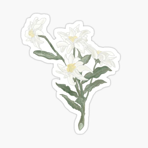Item preview, Edelweiss flower  designed and sold by ArtiqArtz.