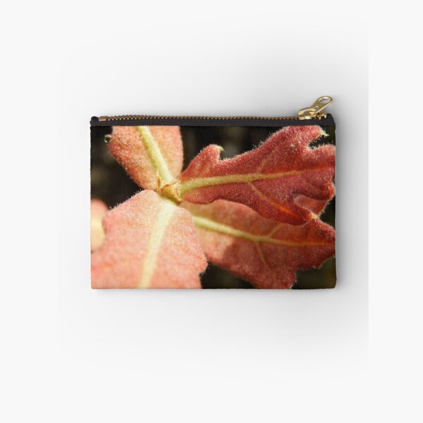 Item preview, Young Oak Leaves designed and sold by Sandra  Aguirre.