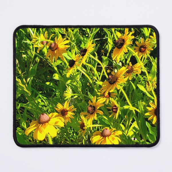 Item preview, Black Eyed Susans  designed and sold by etherealwonders.