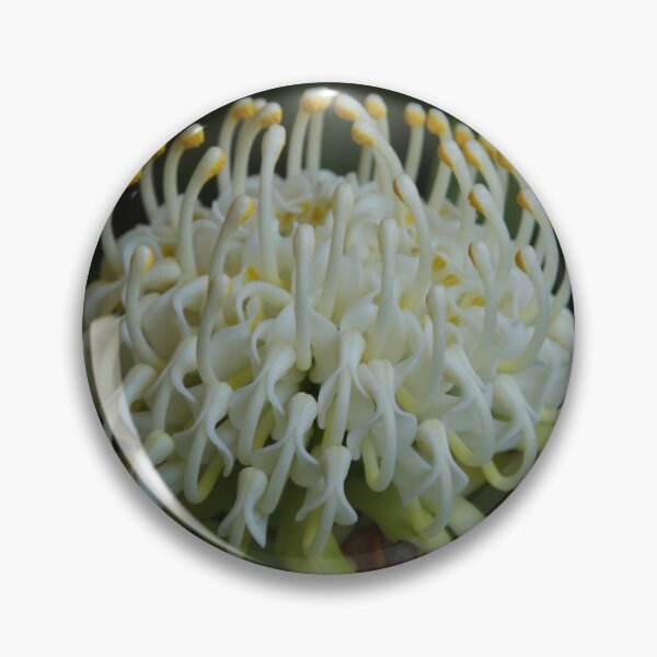 Item preview, White Waratah designed and sold by Michael Matthews.