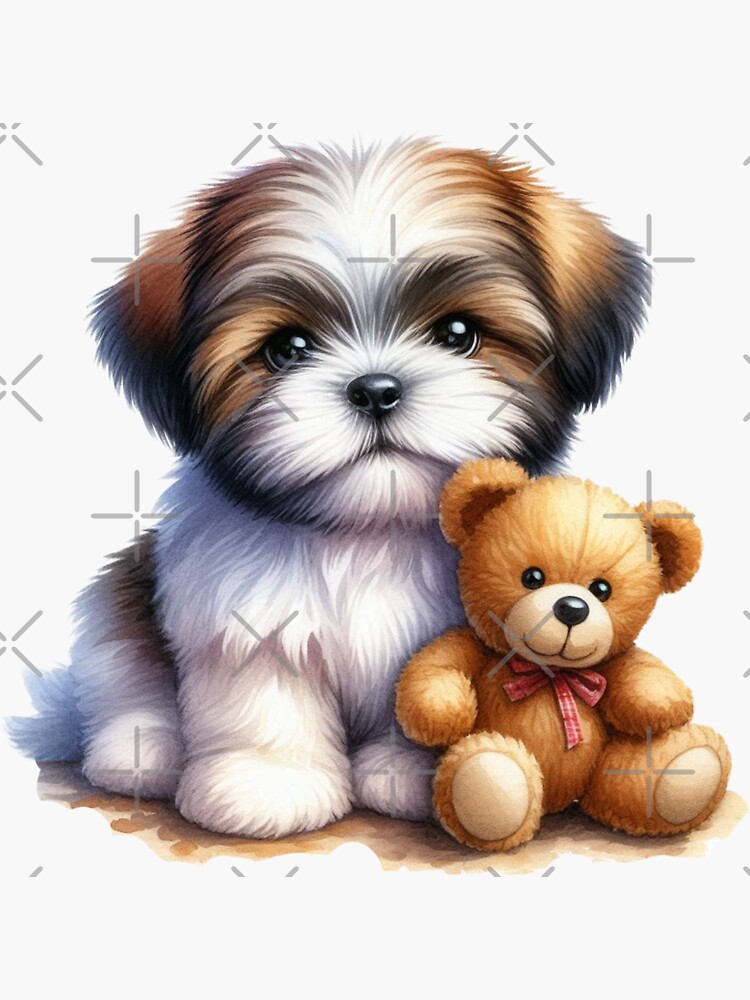 Shih Tzu Puppy Dog and Teddy Bear