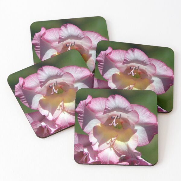 Item preview, Pink Gladiolus in the Midday Sun designed and sold by gistinker.