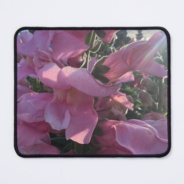 Item preview, Pink Snapdragons designed and sold by Betsy Phillips.