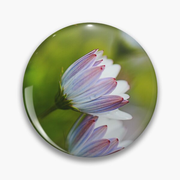 Item preview, Delicate As Cape Daisy Flowers designed and sold by Joy Watson - Natural Light Photography .