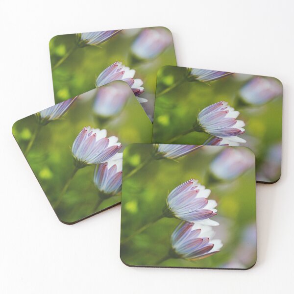 Item preview, Delicate As Cape Daisy Flowers designed and sold by Joy Watson - Natural Light Photography .