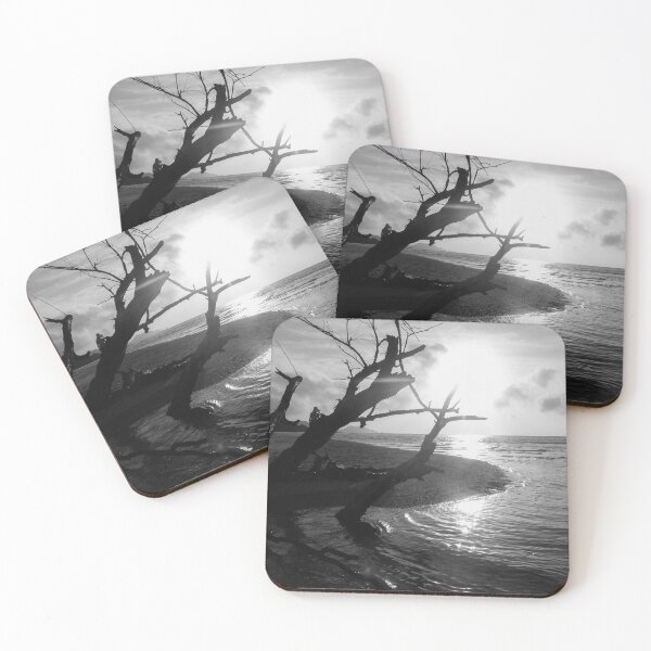 Item preview, Driftwood Monochrome designed and sold by Forrest D.