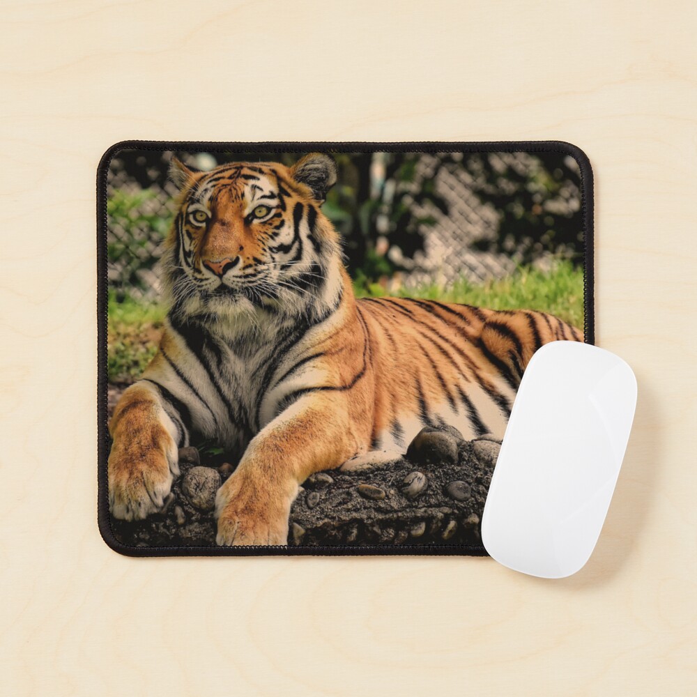 Item preview, Mouse Pad designed and sold by CreativeWorld96.