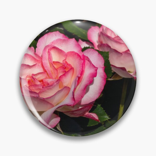 Item preview, two roses designed and sold by yunee.