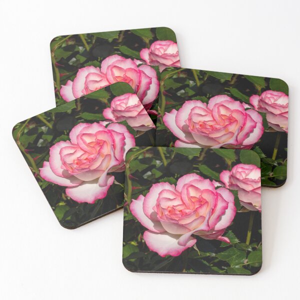 Item preview, two roses designed and sold by yunee.