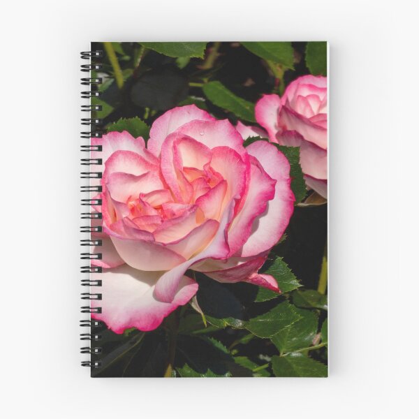 Item preview, two roses designed and sold by yunee.