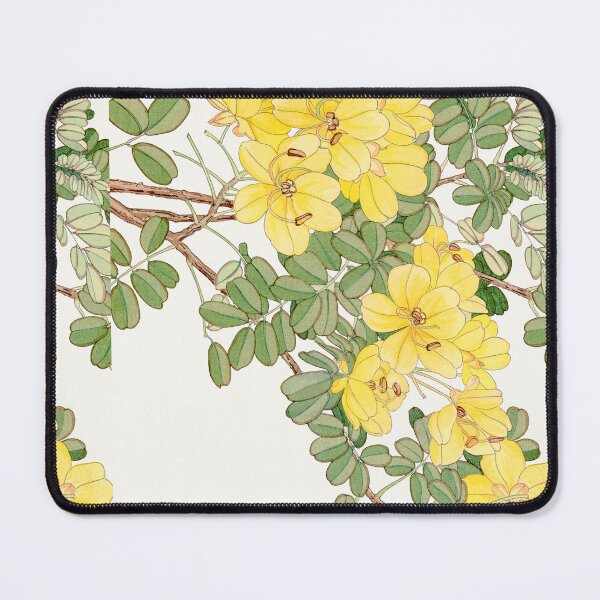Item preview, Elegant Allamanda Blossom from Seiyô SÔKA ZUFU Edition designed and sold by InHerits.