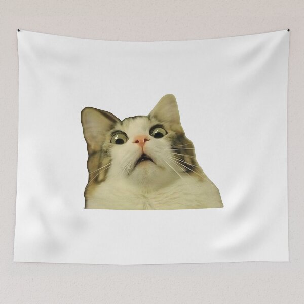 Item preview, Meme Cat - Shocked designed and sold by hiiameartha.