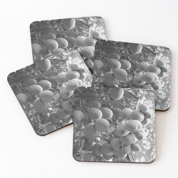 Item preview, Mango Black And White designed and sold by MercerImages.